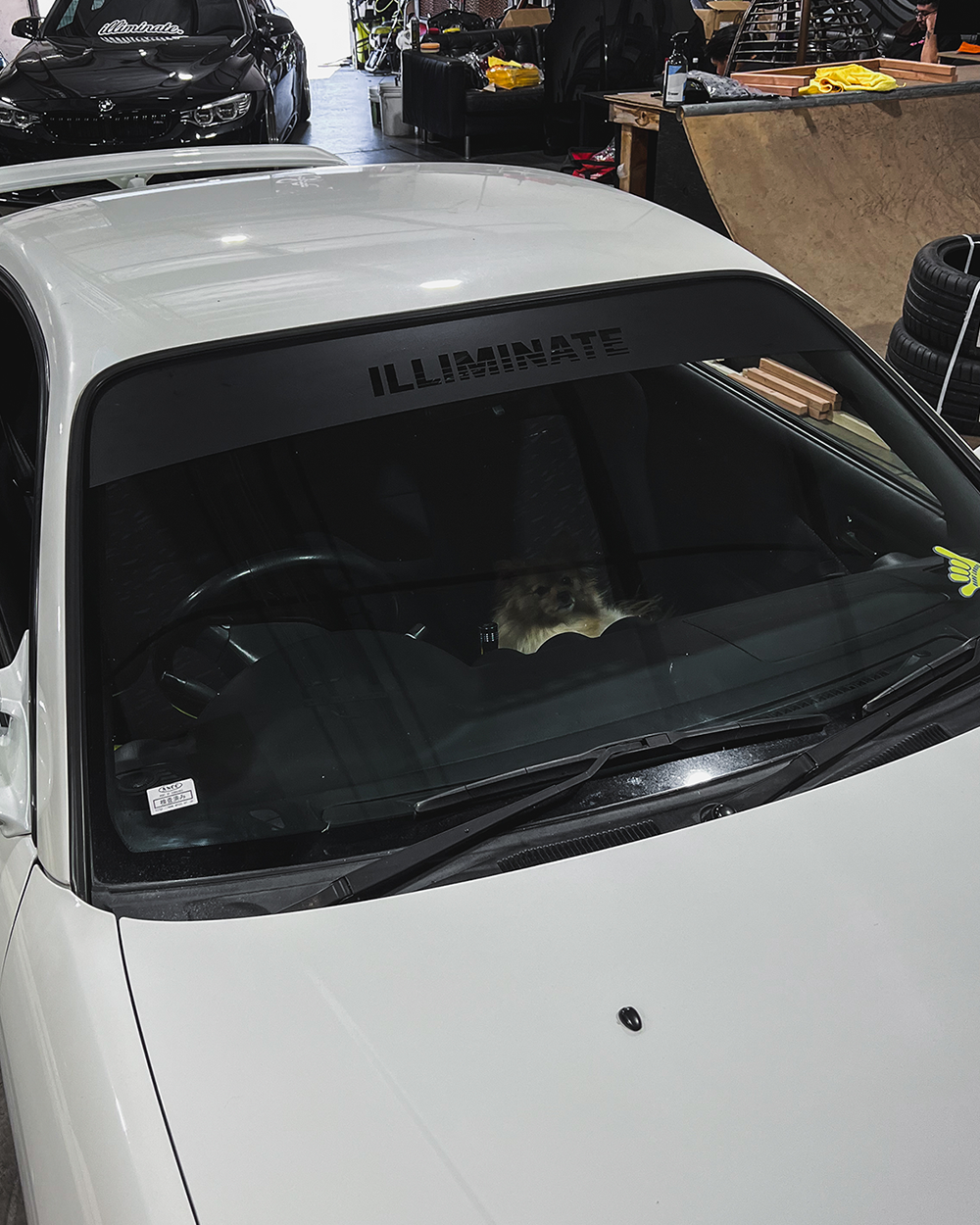 ILL WINDSHIELD BANNER